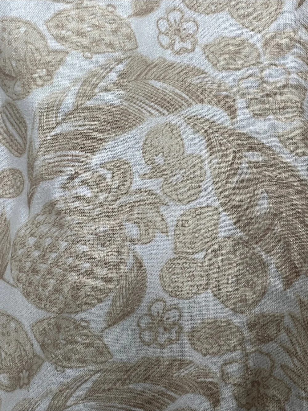 Talbots soft cream
